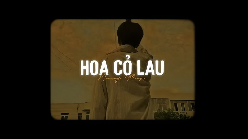 lời bài hát phong max hoa cỏ lau