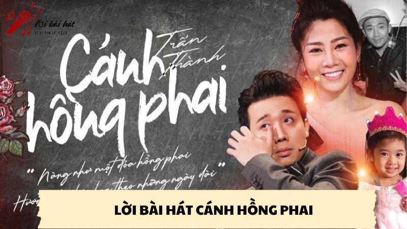 lời bài hát cánh hồng phai